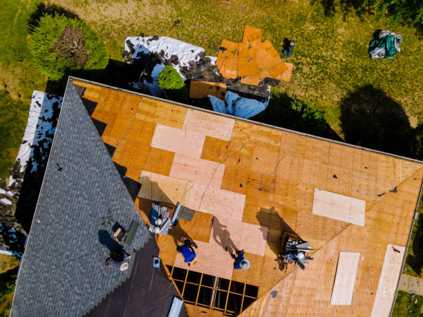 Best Roof Gutter Cleaning  in South Roxana, IL