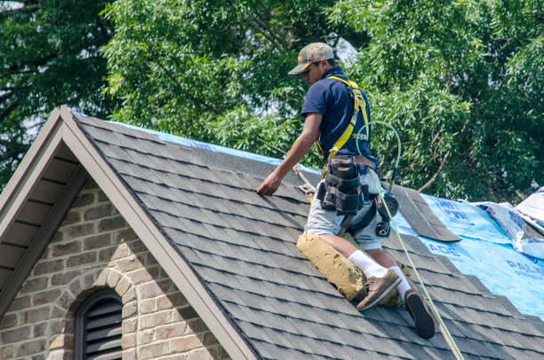 Best Storm Damage Roof Repair  in South Roxana, IL